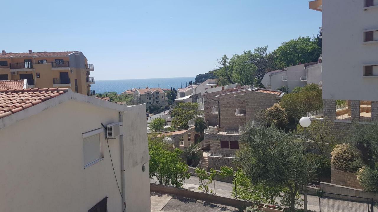 Apartmani Irena Petrovac Oda fotoğraf
